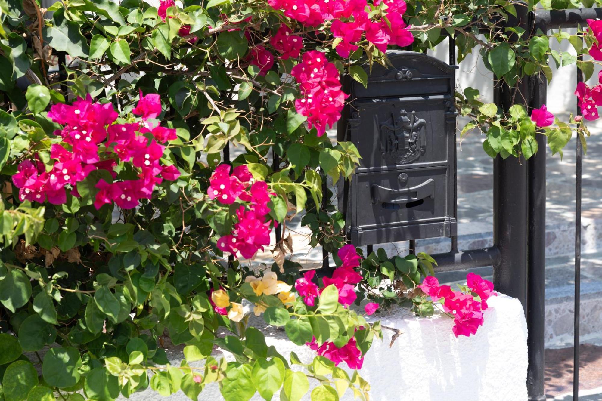 Limassol Akrotiri Vine Cottage A Exterior photo